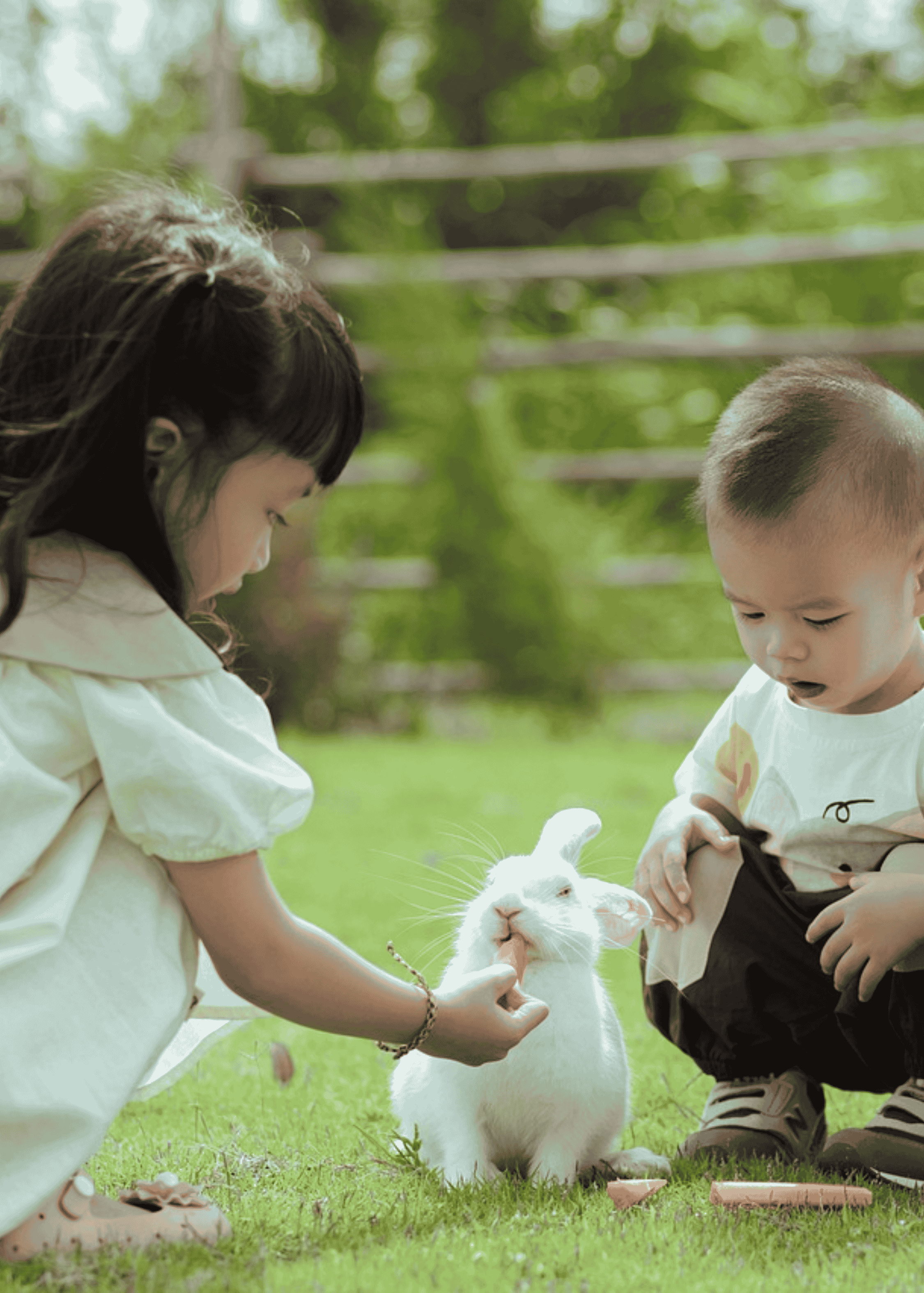 5 Cara Menumbuhkan Rasa Percaya Diri Anak Pra-Sekolah