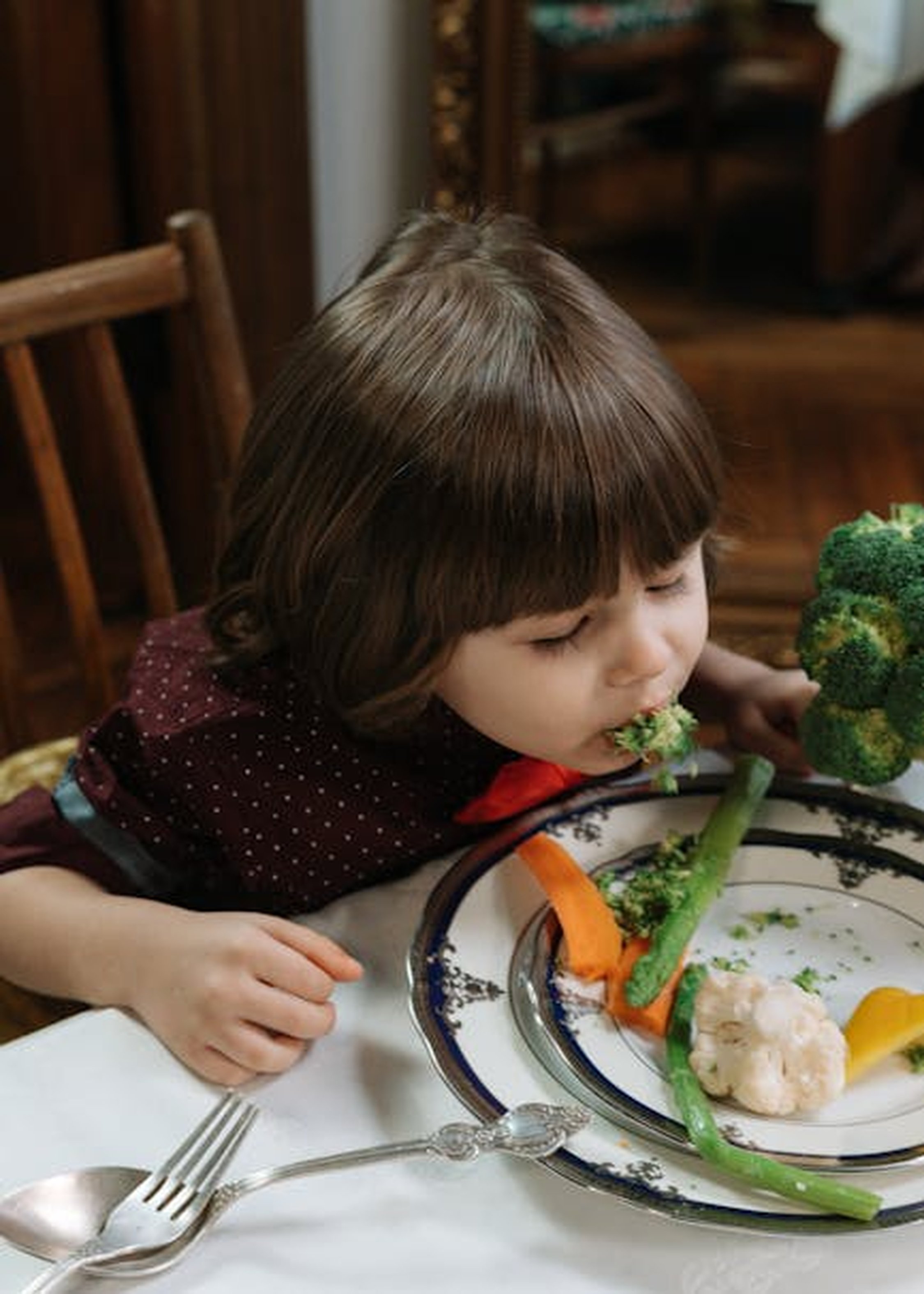 Psikologi Parenting: Pengaruh Pola Asuh Makan (Feeding Style) terhadap Berat Badan Anak