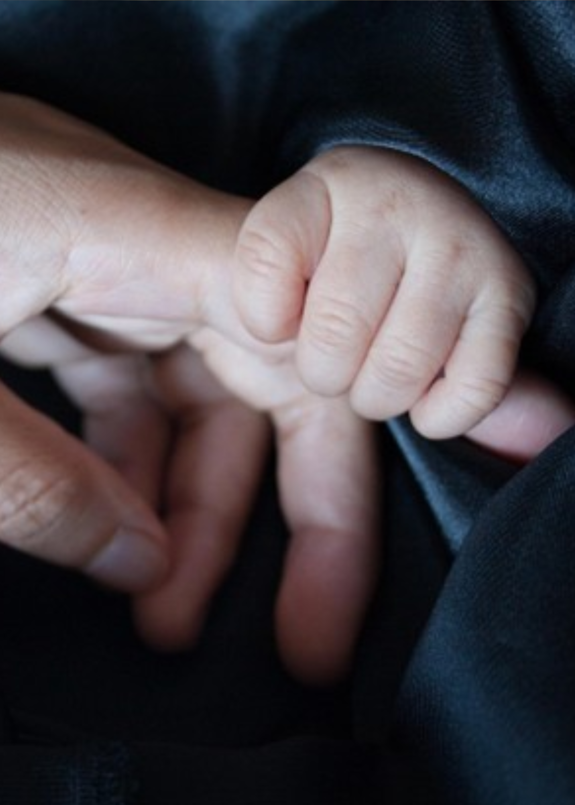 Mengajarkan Nilai-Nilai Kehidupan pada Anak melalui Kebiasaan Keluarga